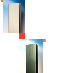 visuel_ano_reco_2.png